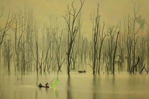 俞敏洪在旅途中拍摄风景