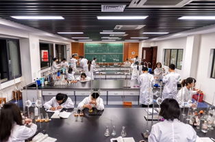 重庆大学回应本科生发14篇SCI论文，学霸背后的故事让人惊叹