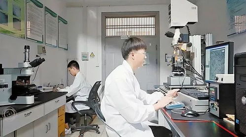 震惊全网！大四本科生发14篇SCI论文，初中就申请发明专利？校方回应来了