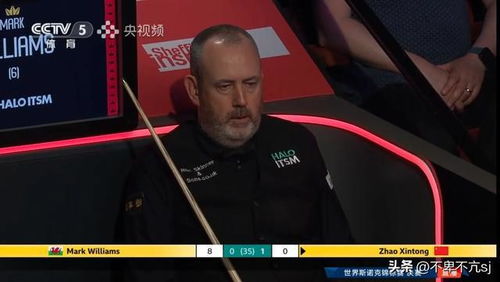 赵心童与马克·威廉姆斯对战