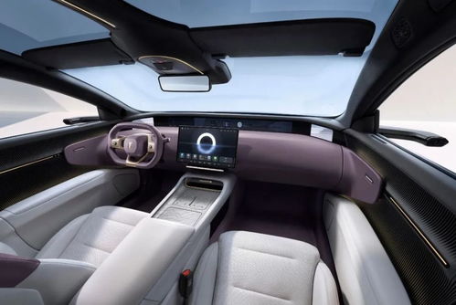 阿维塔12内饰岱红色配色