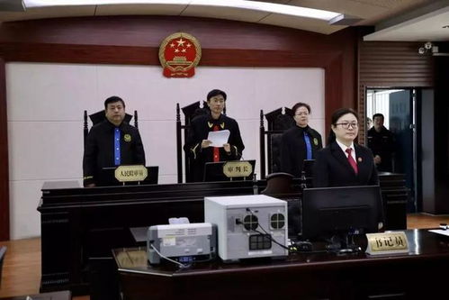 法院宣判贷款诈骗案现场