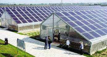 农业大棚内智能控温面板显示番茄生长数据