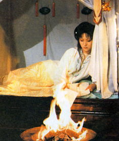 黛玉临终前焚毁诗稿的场景