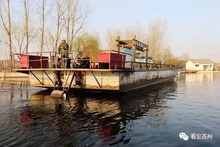 新编儿时童话【390】小花猫流浪记之热带雨林218---乌鸦们的热闹