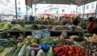 谭家志在菜市场卖菜