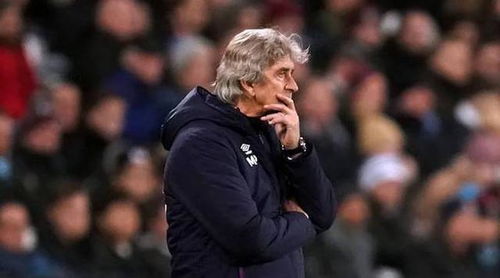 佩莱格里尼教练指挥比赛