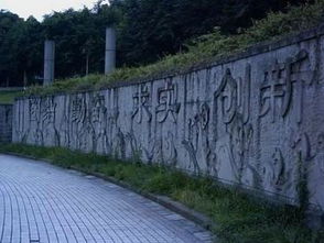 本科生发表14篇SCI论文？真相背后的努力与争议