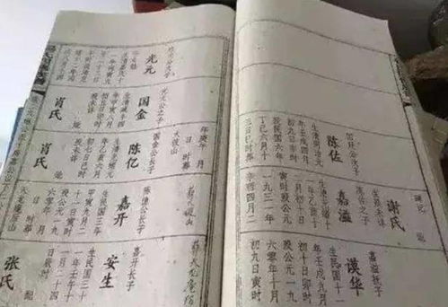 布恩迪亚家族族谱图示