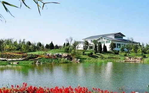 植物园入口的绿荫小径