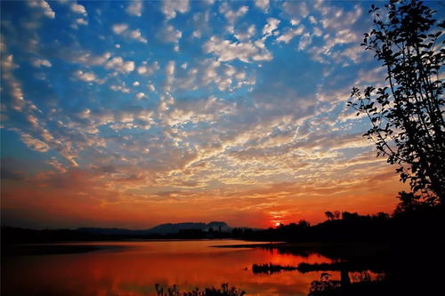夕阳下的书房<p>让我们一起走进诗词的世界，感受那份穿越千年的美好吧！</p>                        </p>
                        <!-- E 正文 -->
                    </div>

                    <!-- S 付费阅读 -->
<!-- E 付费阅读 -->


                    <!-- S 点赞 -->
<div class=