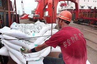 西雅图港工作人员在等待工作