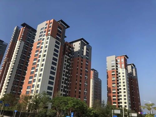 阿里CEO吴泳铭内网发文：呼吁阿里人回归初心、重新创业｜湖畔精神再燃，3800亿押注AI未来