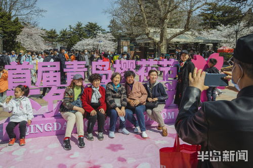 游客在乐园门口合影留念的概念图