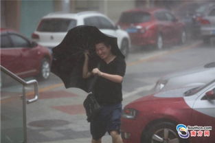 深圳9级大风暴雨套餐正在派送中！我亲历的风雨时刻