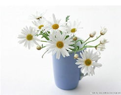 我有个收到花不扫兴的妈妈，网友：这才是真正的幸福家庭