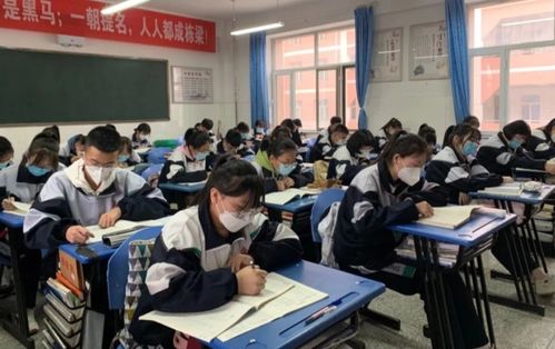 学生团队在教室进行数贸大赛模拟演练