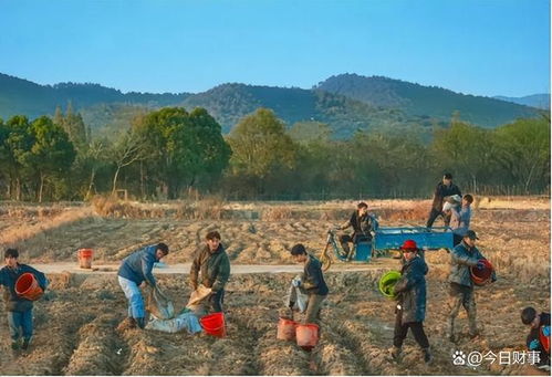 种地吧周边产品展示图