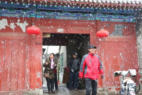 张家口街头突降大雪