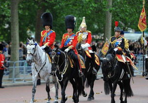 英国阅兵乌军士兵踩马粪瞬间