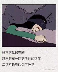 一位读者在窗边静静翻阅《狐狸》