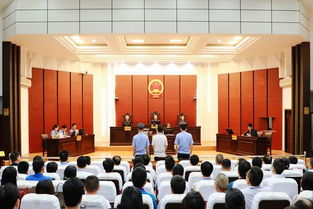 多名落马高官庭审现场照片拼接图