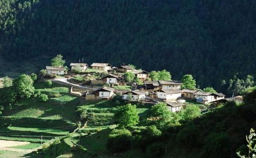 香格里拉藏族家庭火塘边的老者