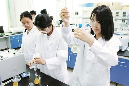 高校实验室学生工作场景