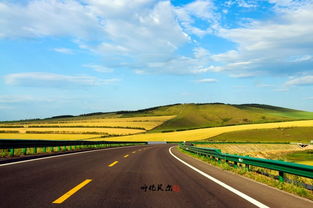 绿色草地延伸至远方