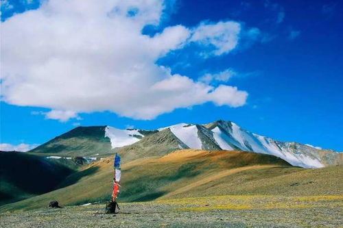 印度称克什米尔遭袭击 巴方否认：冲突背后的真实与误解