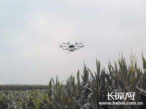 俄罗斯红场阅兵式都有啥看点？我带你一探究竟