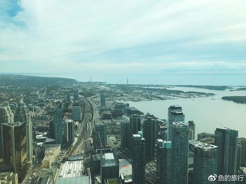 阿布扎比城市全景俯瞰图