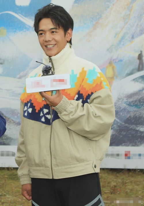 梦幻联动！华春莹与丁真同框，背后竟藏着这些细节？