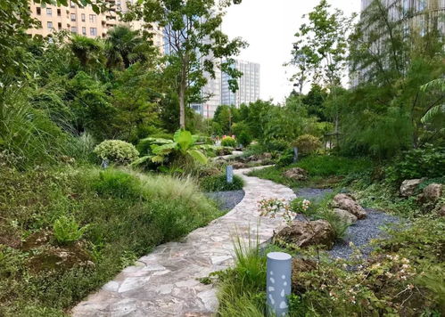 城市绿地中的多样化植物群落