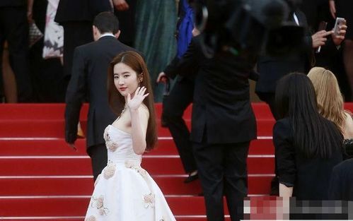 易烊千玺17岁奥斯卡24岁戛纳：从TFBOYS少年到国际影坛新星