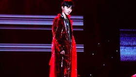 歌手2025回应马嘉祺争议：音乐圈的代际碰撞还是误会一场？