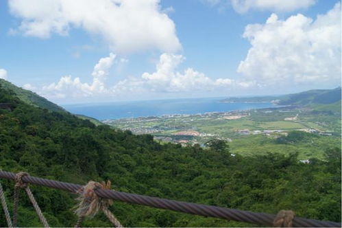 一位年轻人站在山顶俯瞰风景