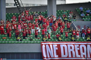 球迷在看台上高举围巾助威<br>                        </p>
                        <!-- E 正文 -->
                    </div>

                    <!-- S 付费阅读 -->
<!-- E 付费阅读 -->


                    <!-- S 点赞 -->
<div class=