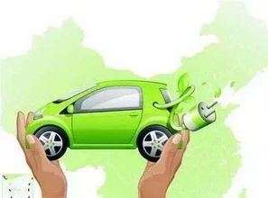 多款新能源汽车并排停放