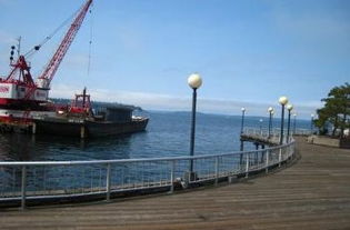 美国西雅图港没船了？亲身探访背后的真相与震撼现场