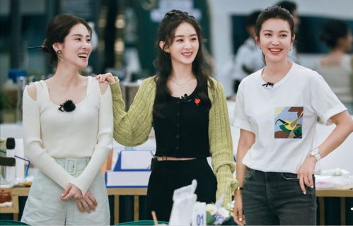 网友热议向佐与赵丽颖互动话题