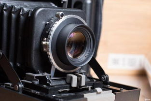 年轻人使用撕拉片相机微笑<br>                        </p>
                        <!-- E 正文 -->
                    </div>

                    <!-- S 付费阅读 -->
<!-- E 付费阅读 -->


                    <!-- S 点赞 -->
<div class=