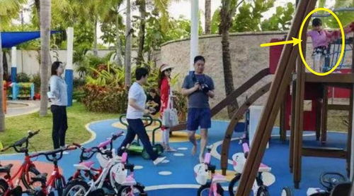 章泽天陪伴孩子玩耍