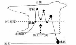冰雹形成过程示意图