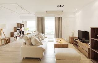 阳光下的整洁客厅