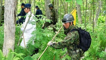 8岁男孩失踪地现应急物资柜，救援仍在继续！