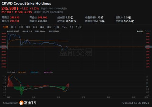 交易者在电脑前冷静分析图表