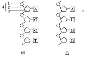 汽油分子结构示意图展示不同标号汽油差异