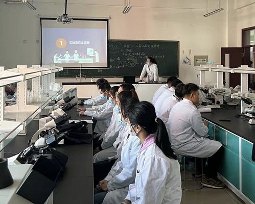 大学实验室中两位研究人员正在讨论论文内容<h2 id=