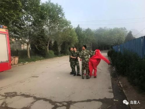 4岁女童家中被蜜蜂蜇伤致死 爸爸哭诉无人回应